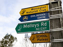 Molloys Road